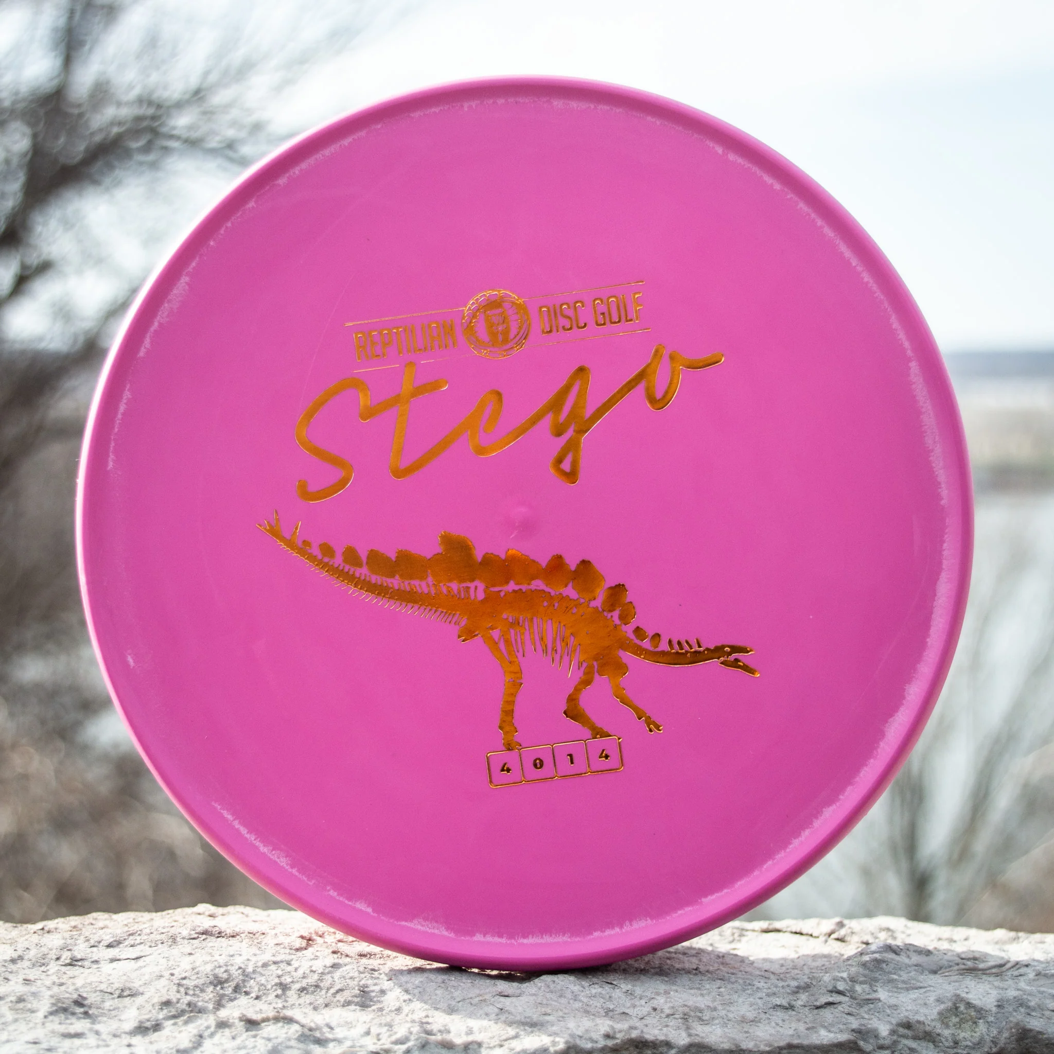 Reptilian DG Stego — Fossil - Image 4
