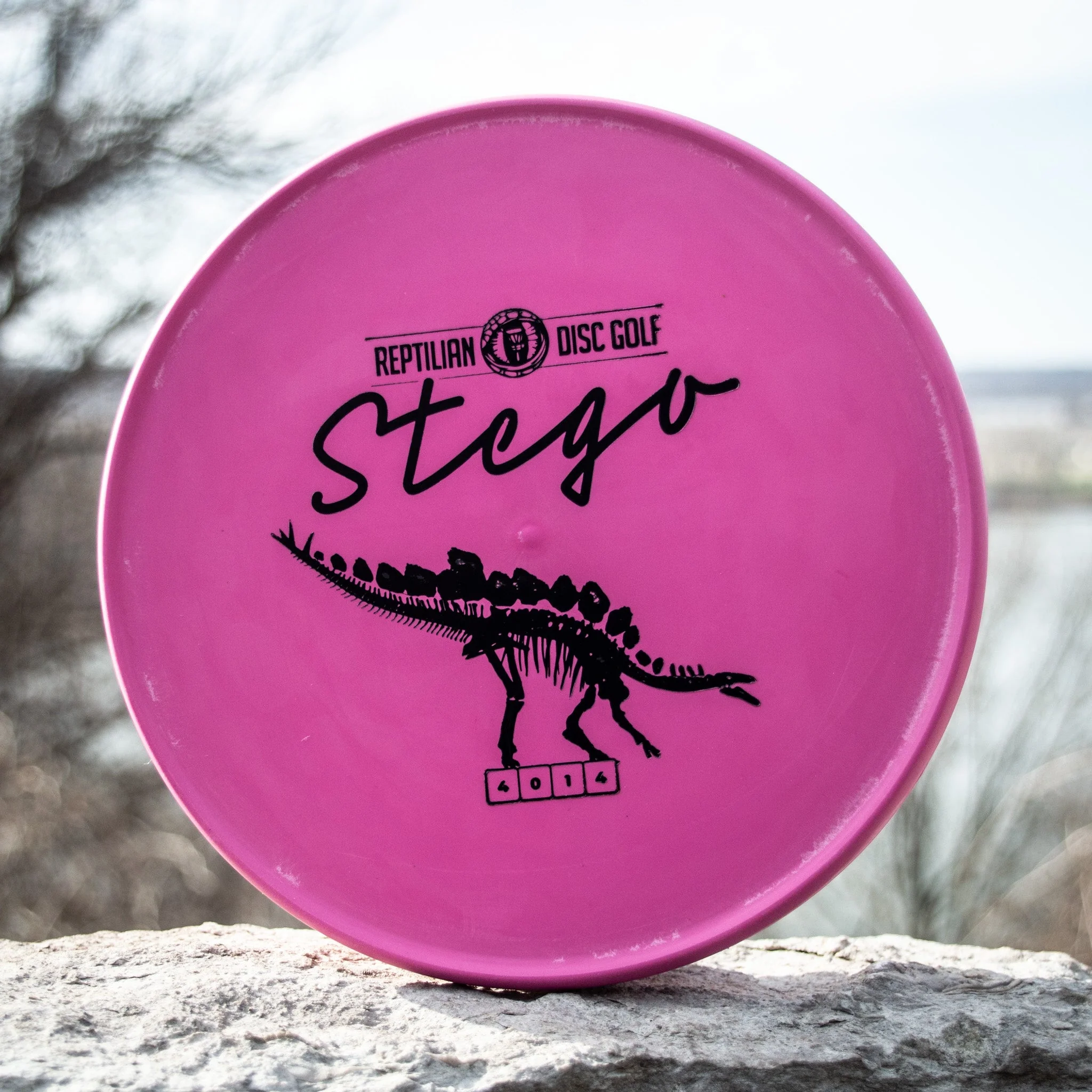 Reptilian DG Stego — Fossil - Image 5