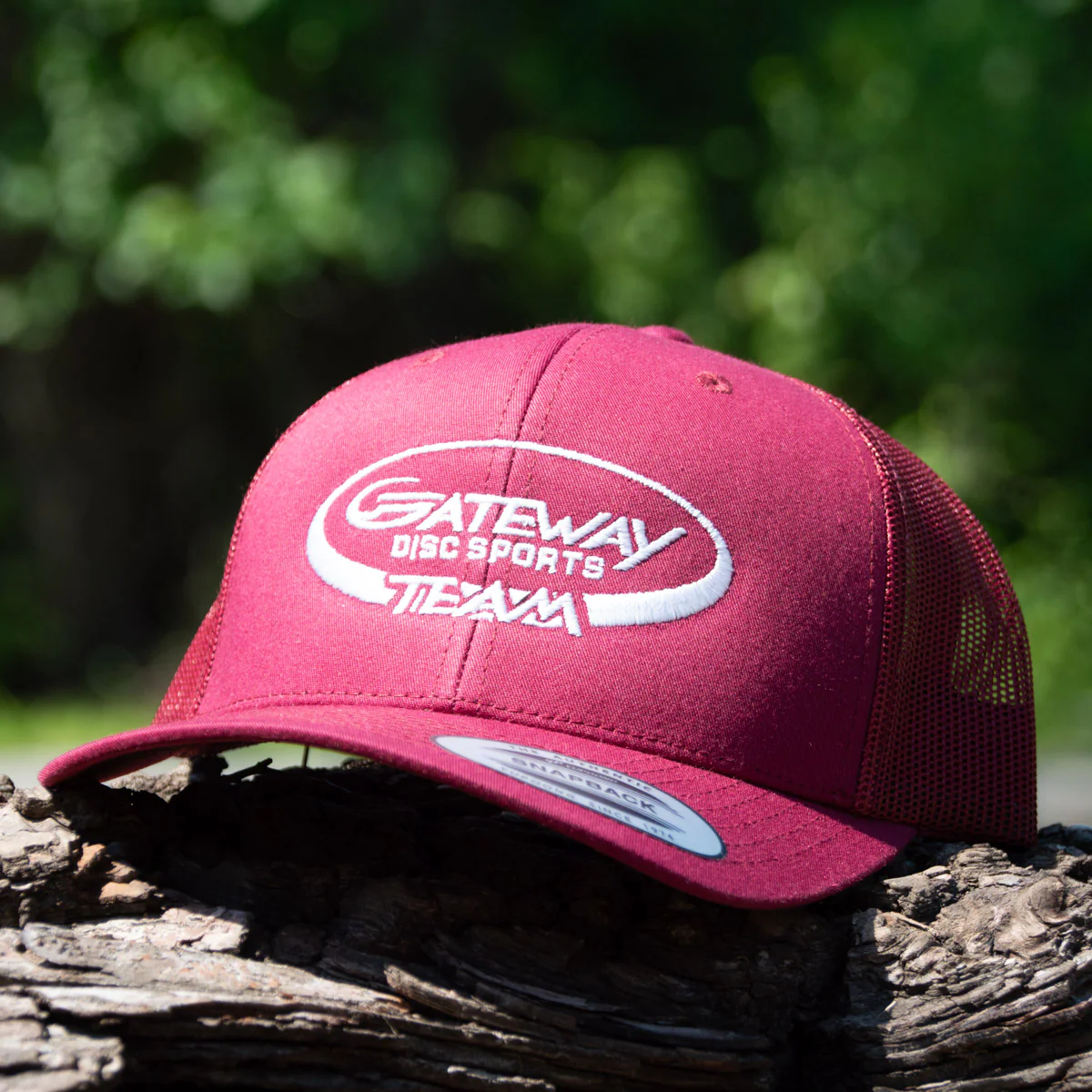 Team Gateway Snap Back hat - Image 5