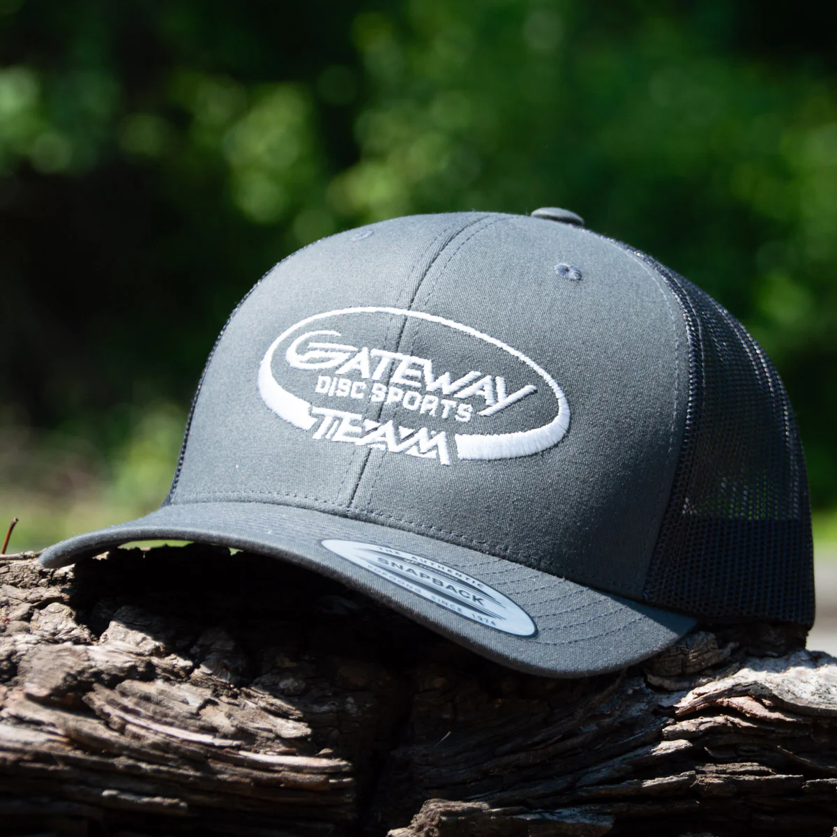 Team Gateway Snap Back hat - Image 6