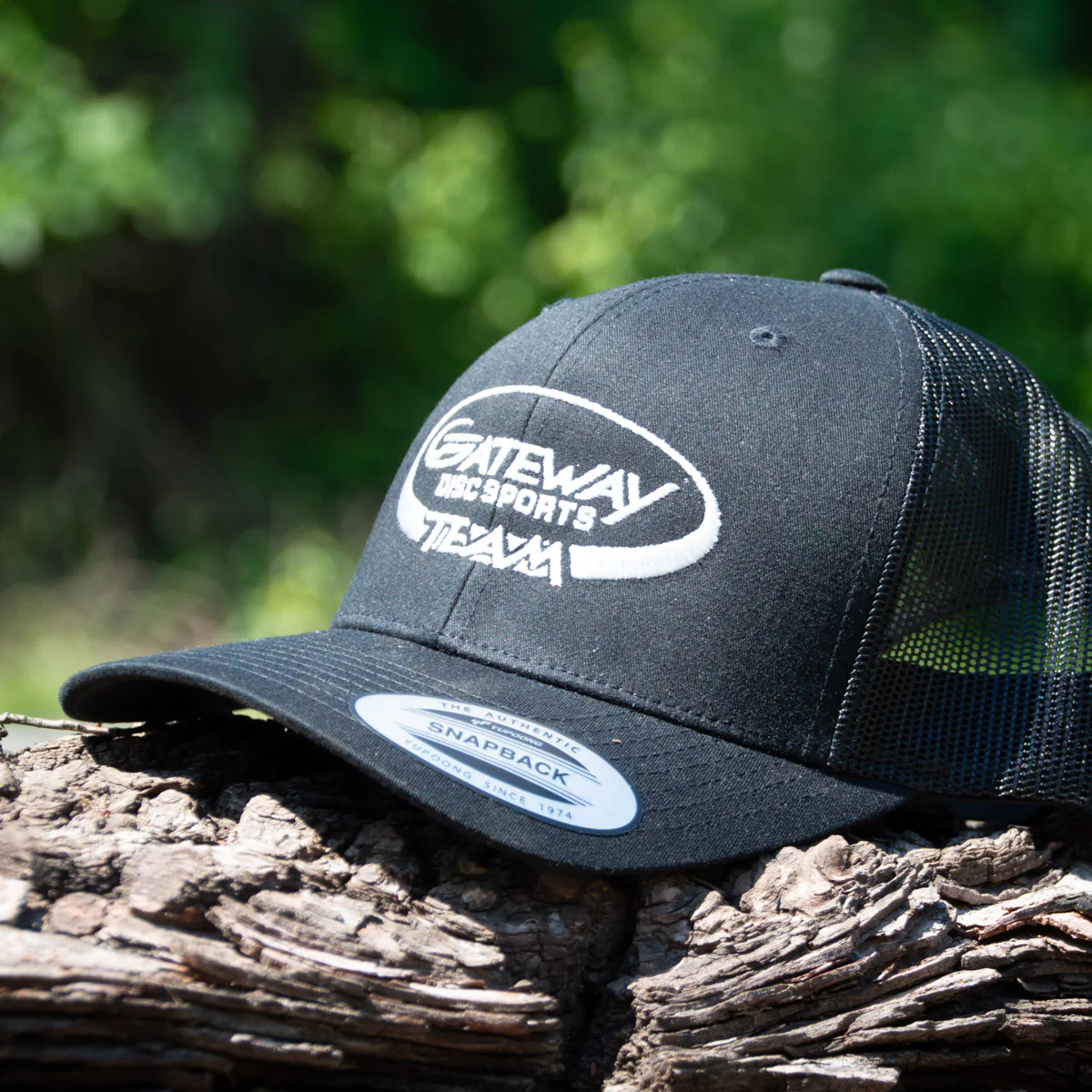 Team Gateway Snap Back hat - Image 7
