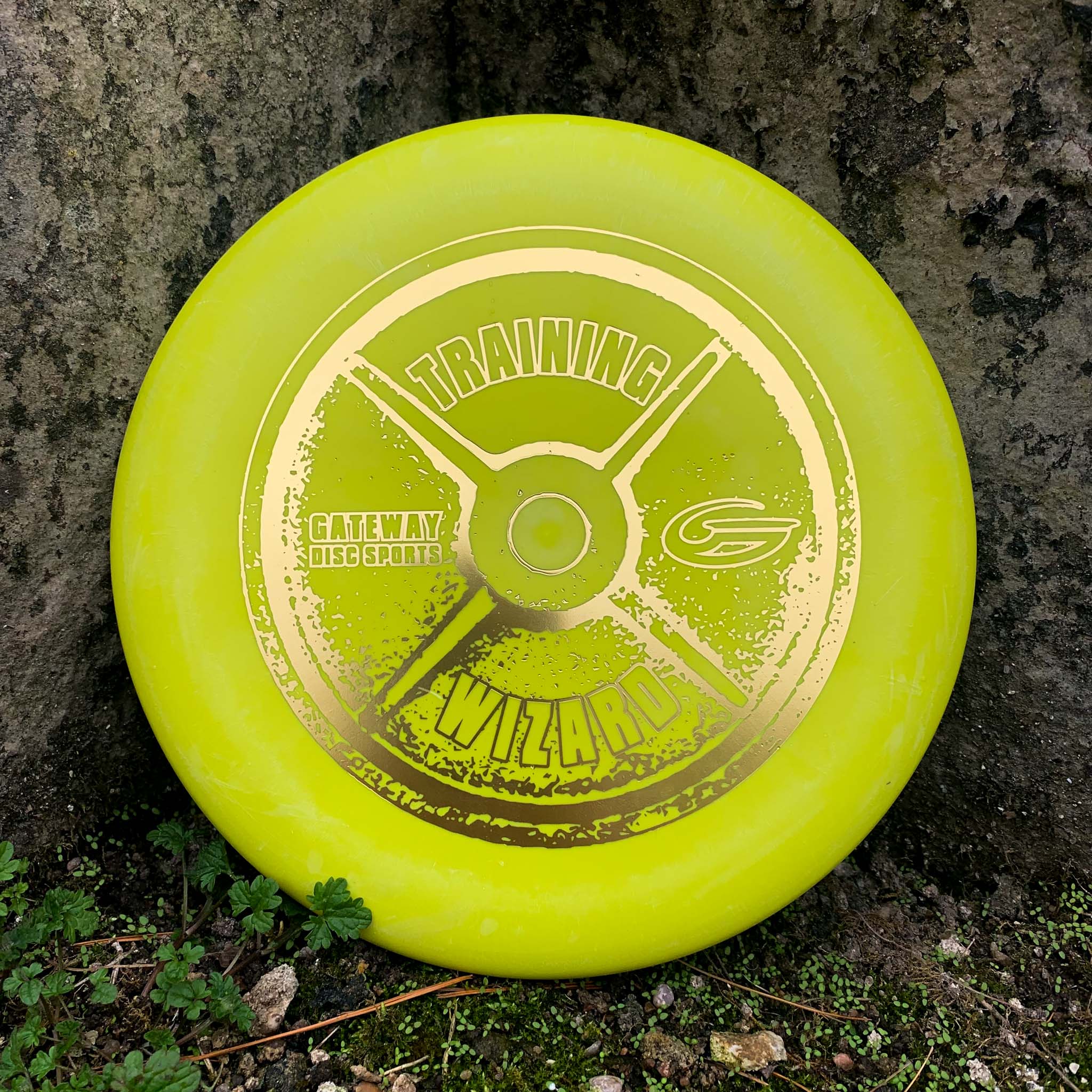 Wizard - Training Weight - Image 4