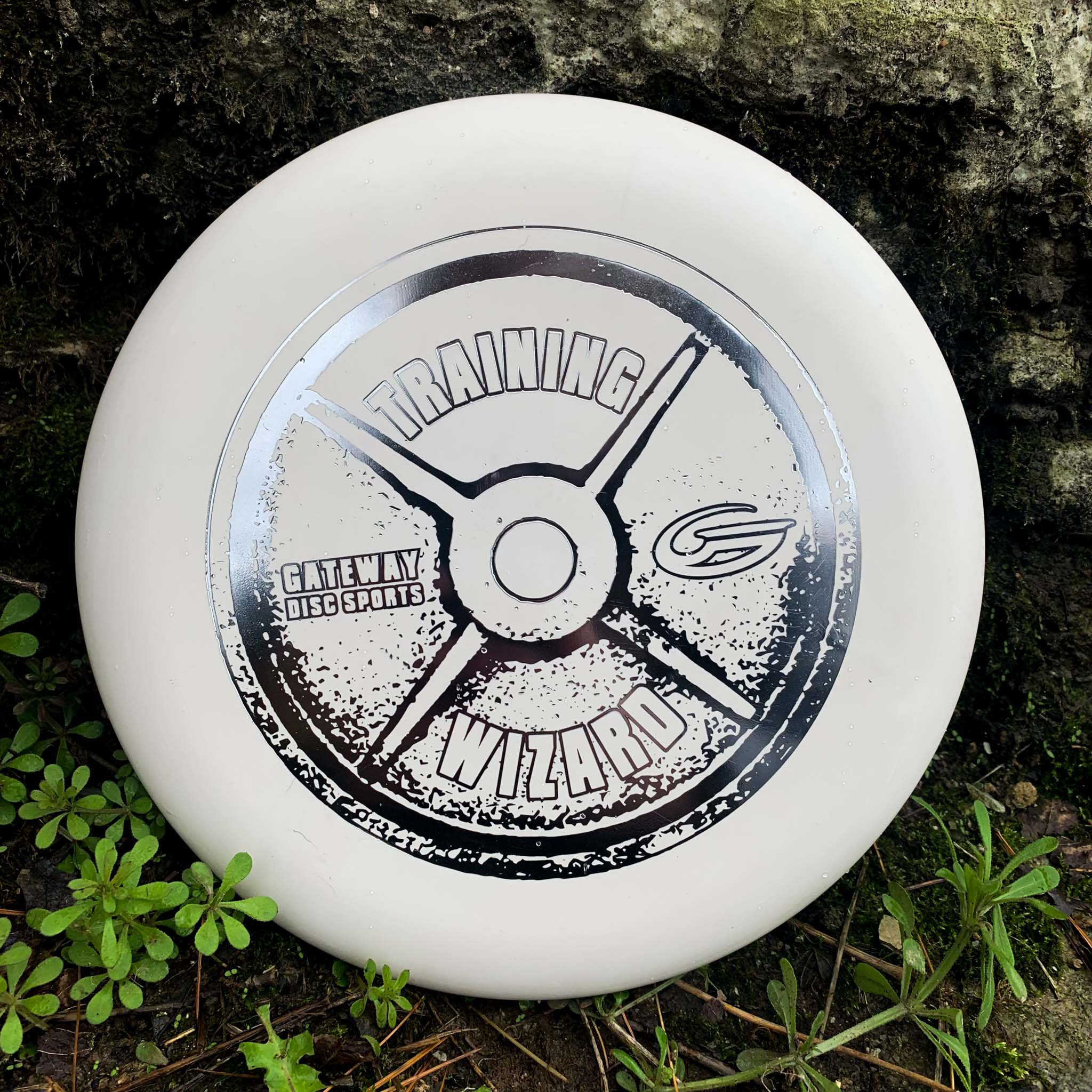 Wizard - Training Weight - Image 6
